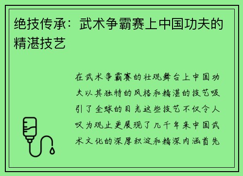 绝技传承：武术争霸赛上中国功夫的精湛技艺